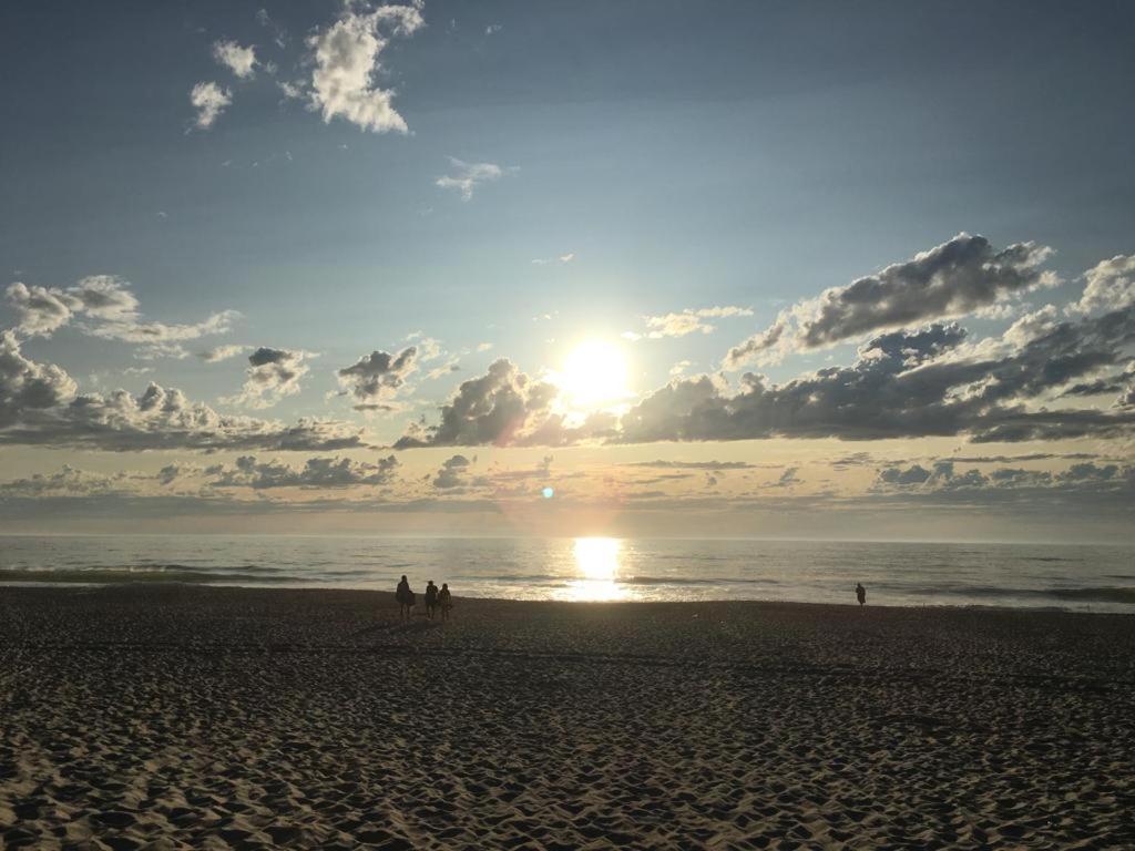 Moradia Proxima Da Praia Do Areinho, Na Ria, E Praia Dos Marretas Ovar Eksteriør billede
