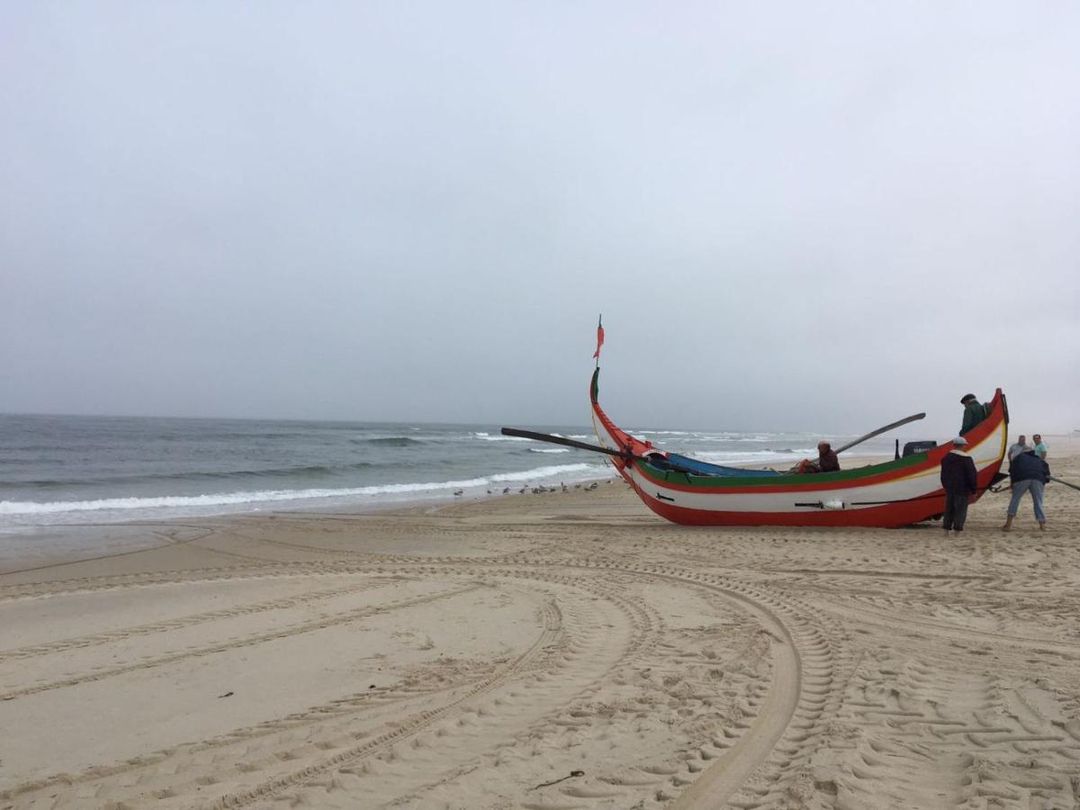 Moradia Proxima Da Praia Do Areinho, Na Ria, E Praia Dos Marretas Ovar Eksteriør billede