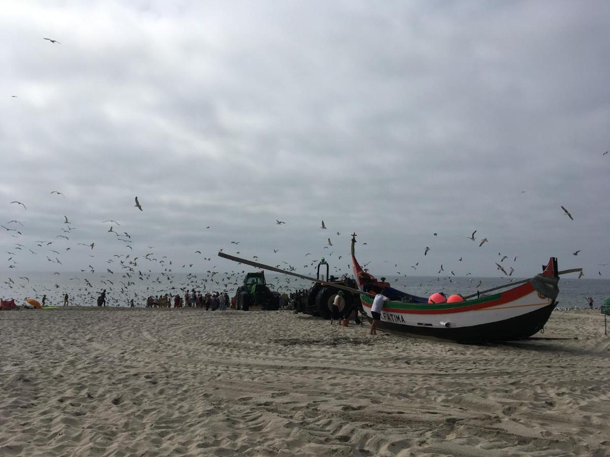 Moradia Proxima Da Praia Do Areinho, Na Ria, E Praia Dos Marretas Ovar Eksteriør billede
